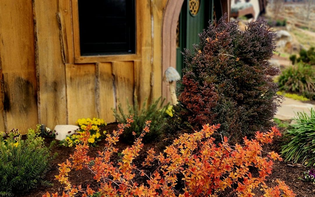 Autumn Magic in the Village: A Reflection on Harvest, Balance, and Transformation