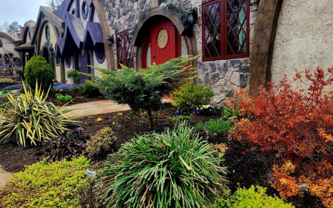 Unplug, Explore, and Imagine at Ancient Lore Village