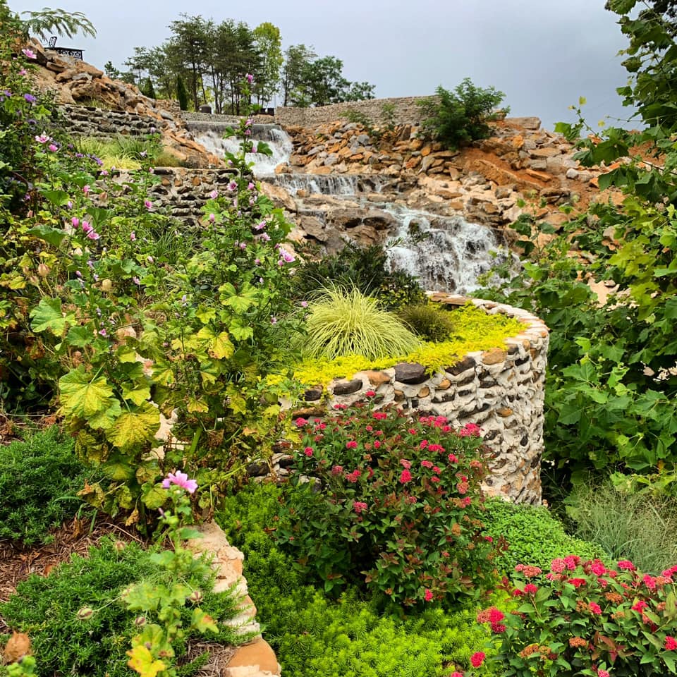 Group of friends at Ancient Lore Village Firepit