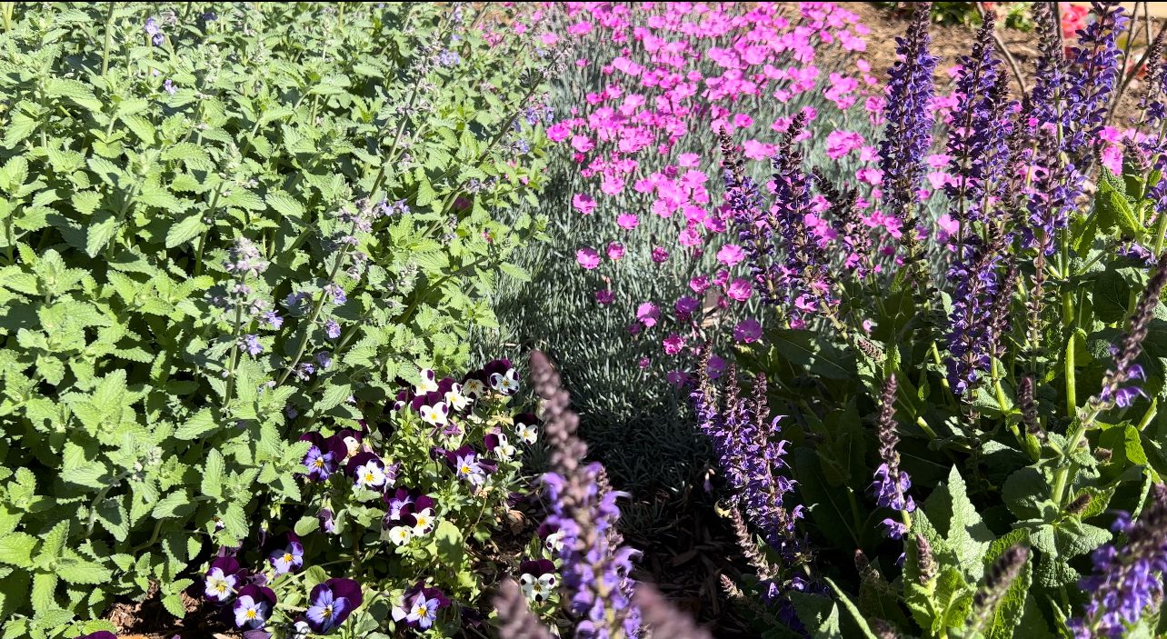 Ancient Lore Village