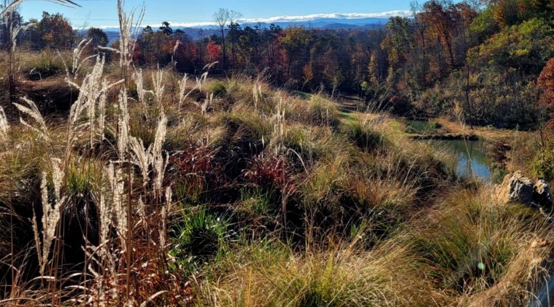 Five Screen-Free Ways to Recharge