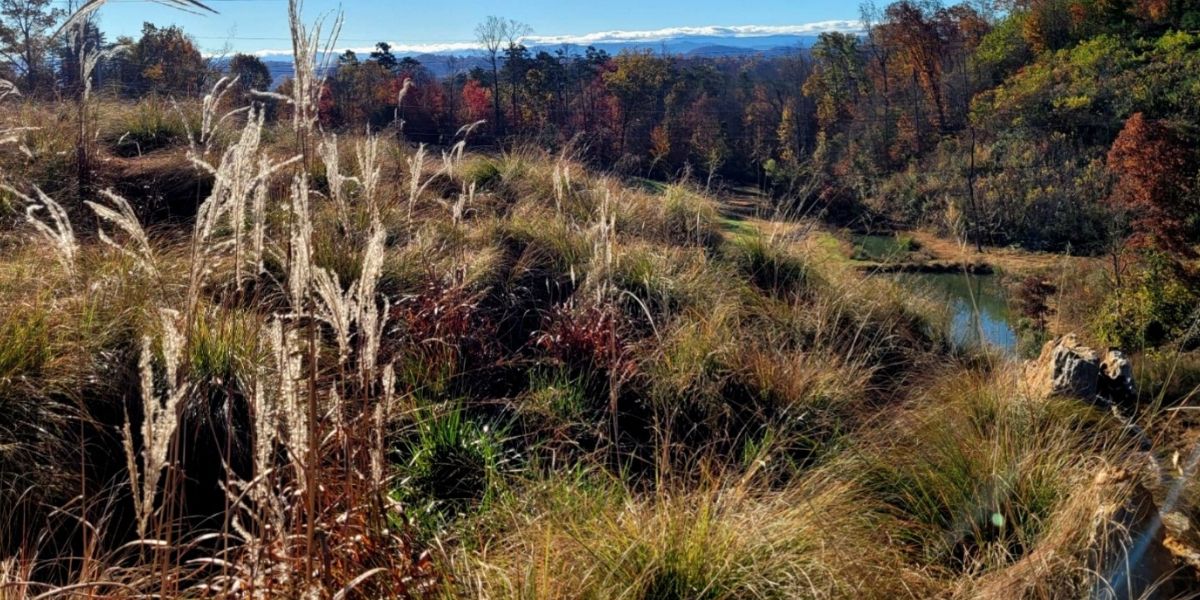 Untitled design (3) Grassy hillside with tall dry plants, colorful autumn trees, and snow-capped mountains in the distance under a clear blue sky.