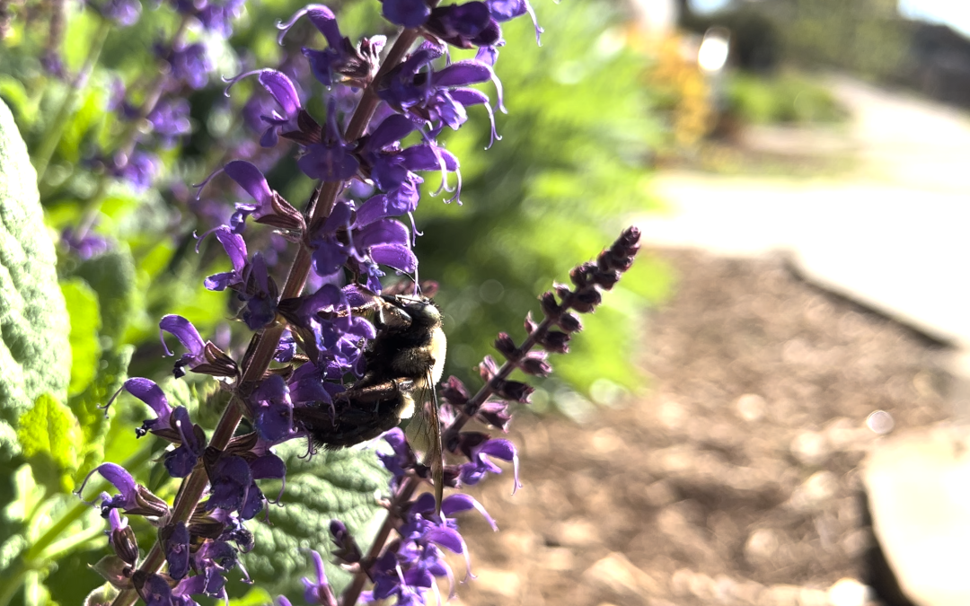 Five Simple Steps to Discovering Life’s Magic, Mystery, and Wonder