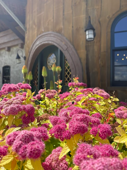 Three people are throwing axes at wooden targets in an outdoor lane with wood chips on the ground, embracing one of the 5 Ways to Start Your New Year With Magic at Ancient Lore Village—a place where every toss adds a touch of enchantment to your fresh beginnings.